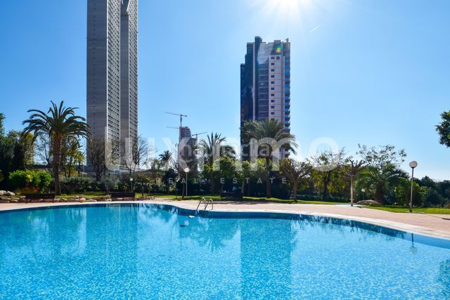 Foto 925ef39e-2df1-46fe-933d-e3408dd25797. Pis amb piscina a Playa Poniente Benidorm