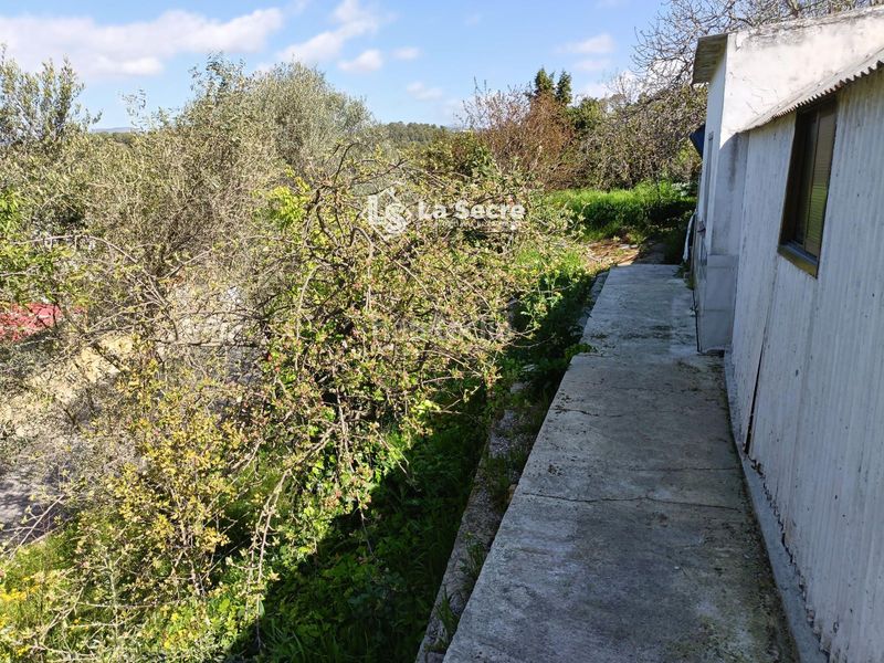 Foto 0e713544-5b18-4330-9c30-1fd0259f492a. Finca rústica terreny a costablanca en Castellbisbal