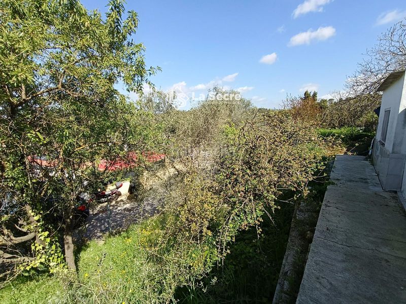 Foto 4435a3a6-b3f8-4f52-ac41-6f0159e4917e. Finca rústica terreny a costablanca en Castellbisbal