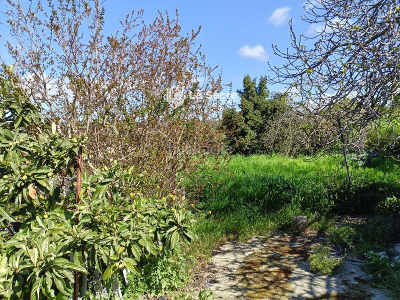 Foto 64e423c6-c222-4c5c-b121-23e15cc3690f. Finca rústica terreny a costablanca en Castellbisbal