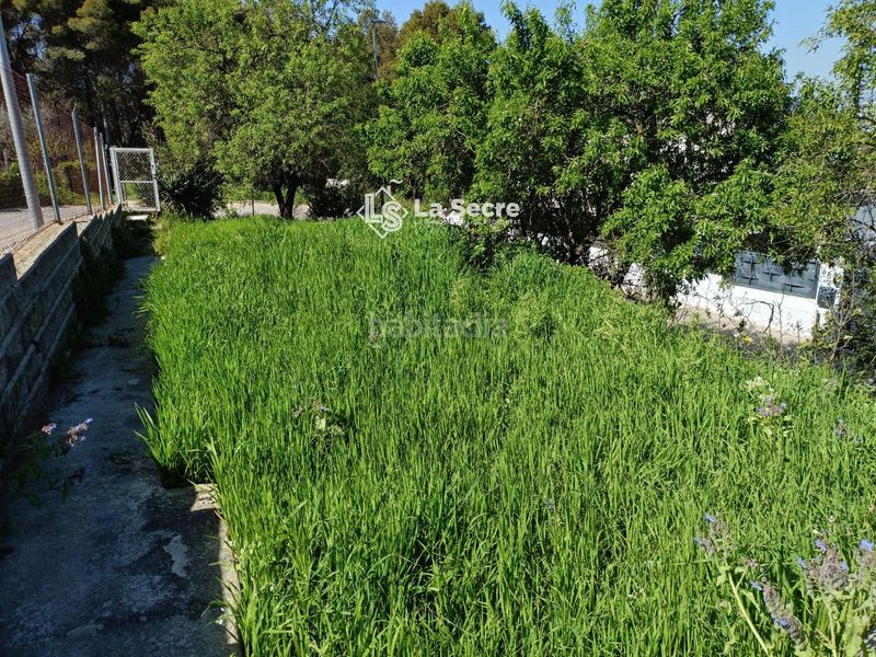 Foto 93793a17-3a78-4213-97c8-05b0ee56e1a0. Finca rústica terreny a costablanca en Castellbisbal