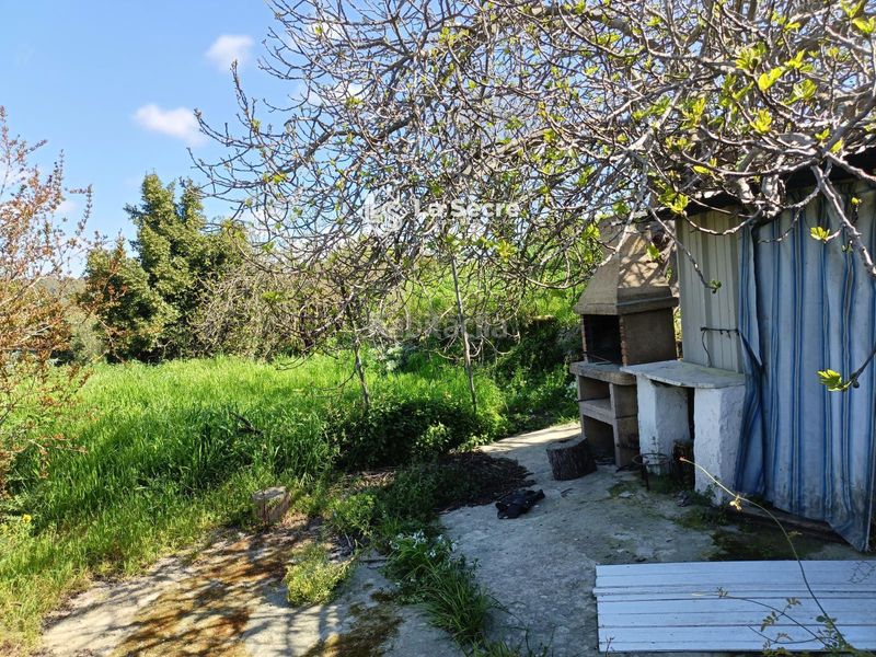 Foto efde94a4-2ce6-4e62-abaa-9e3411c99355. Finca rústica terreny a costablanca en Castellbisbal