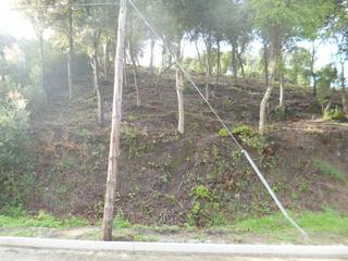 Terreny residencial a Palafolls. Terreno con un poquito de pendiente