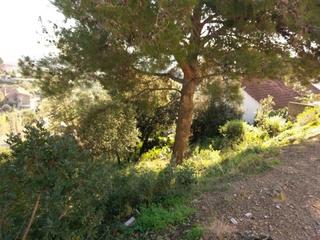 Terrain résidentiel à Santa Susanna. Terreno en la urbanizacion alta maresma