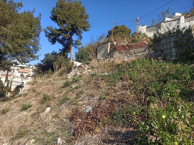 Foto 068ea163-8e37-4669-8569-2171fd0ed676. Terreno residenziale in Santa Susanna