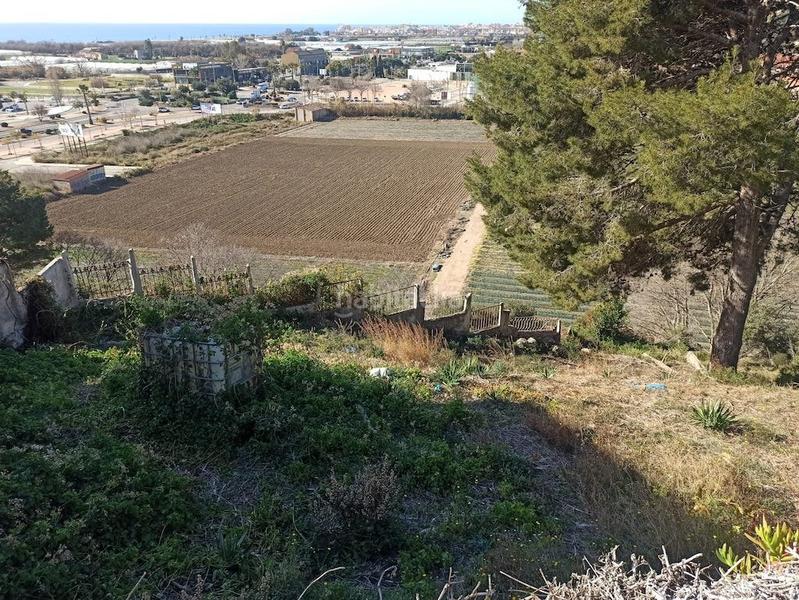 Foto 380ca9ef-8e7d-4909-91fd-fa81960a71aa. Terreno residenziale in Santa Susanna