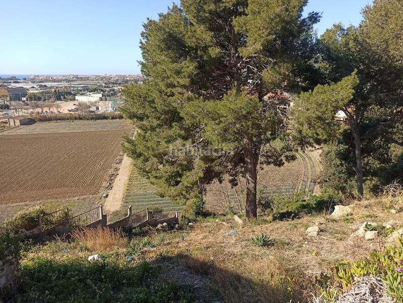 Foto a6d9cf64-b69d-4623-9a68-5f6b4833674d. Terreno residenziale in Santa Susanna