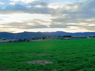 Terreny residencial a Mas Mora-Sant Daniel. Dos parcelas rústicas juntas entre tordera y blanes