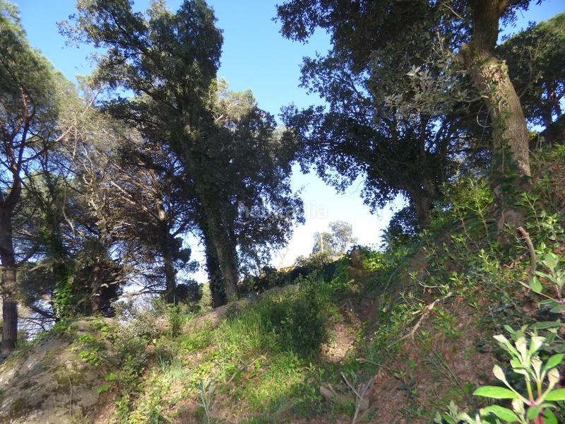 Foto 10766a87-03e7-4d79-8f89-7d354aed8610. Terreno residenziale in Palafolls