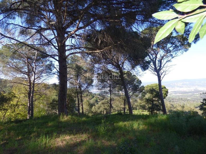 Foto 19413238-6e49-429d-941f-5ce464603d1a. Terreno residenziale in Palafolls