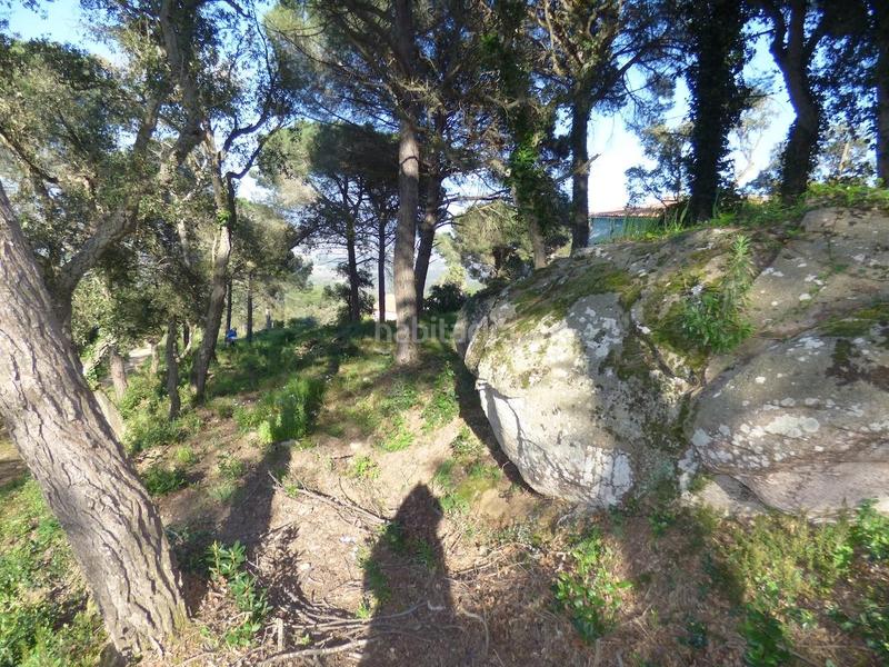 Foto 2d74a748-0152-41b8-a276-dd3e0d3f21d5. Terreno residenziale in Palafolls