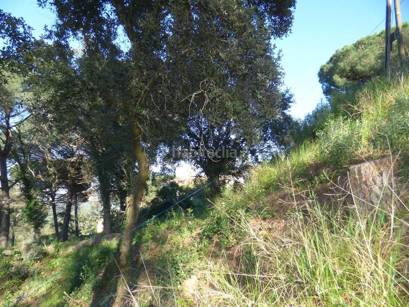 Foto 51a9b62a-a77a-4cd6-9173-09ec400b7f6a. Terreno residenziale in Palafolls