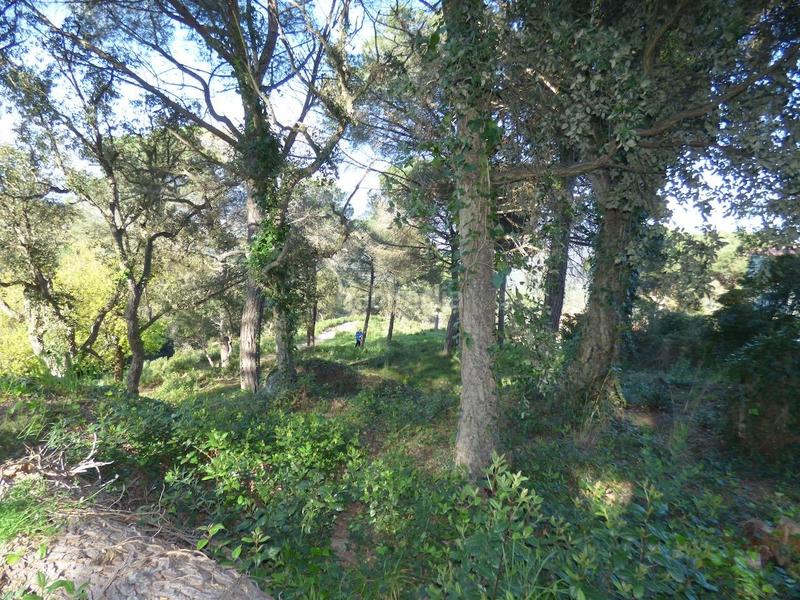 Foto 520ae72a-1445-4fae-a44c-d6f046363b8c. Terreno residenziale in Palafolls