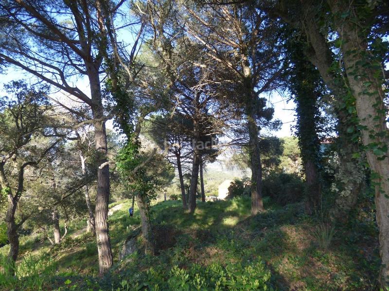 Foto 7e5d0780-71d2-4bb0-a14b-c5a539765ce4. Terreno residenziale in Palafolls