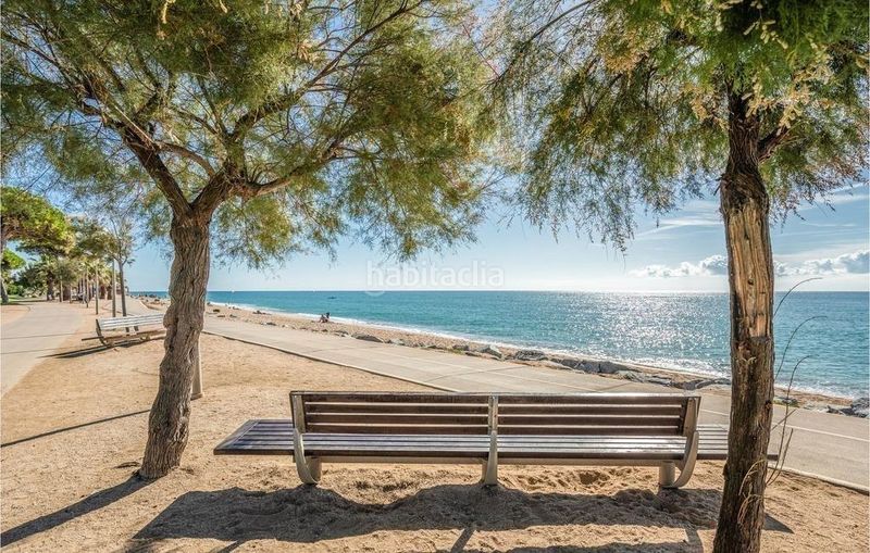 Foto 84691004-a3ee-4ff1-931f-2ae6cbfdf907. Pis a Centre Pineda de Mar