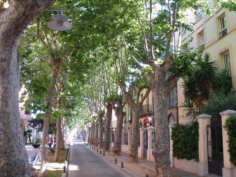 Foto bfca786d-088e-4a70-b8e9-9eae79658ade. Pis a Centre Pineda de Mar