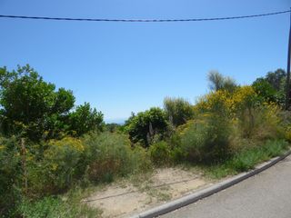 Terreny residencial a Palafolls. Oportunidad de inversión en palafolls parcela en ciutat jardí
