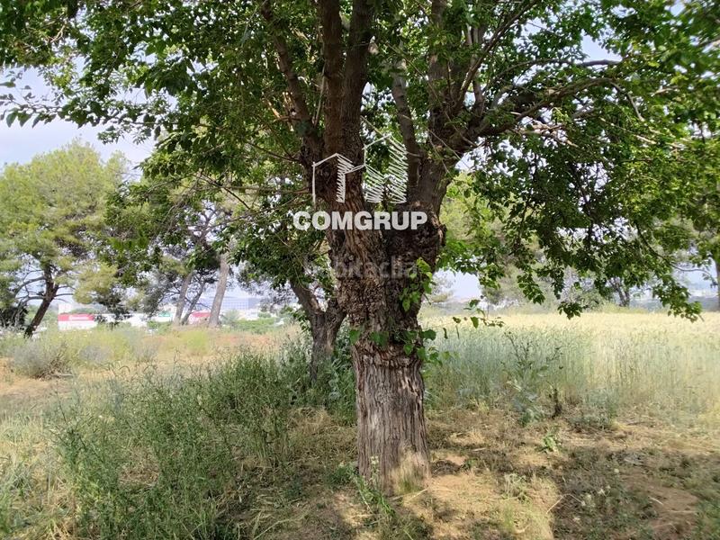 Foto 1472e337-2f11-4740-ad38-b32a07175985. Lloguer casa a Can Clos-Pinetons Ripollet