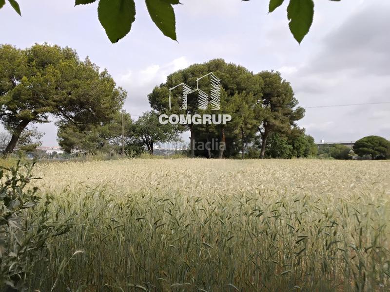 Foto 9eefb06b-0a65-418a-a81d-b3acb3fdebec. Lloguer casa a Can Clos-Pinetons Ripollet