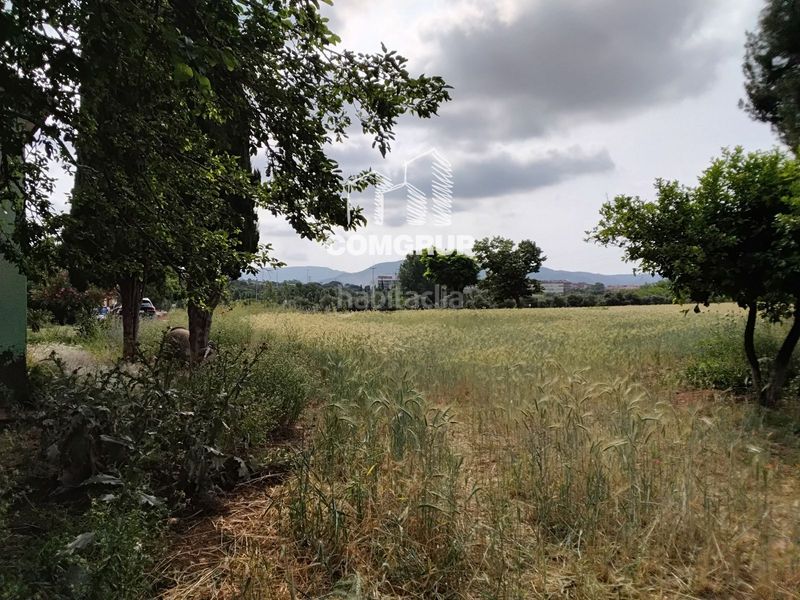 Foto 6eb41179-a5ec-4ac2-bd1c-b01aee43c028. Affitto edificio in Can Clos-Pinetons Ripollet
