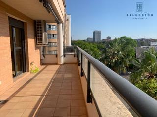 Pis  Calle de vicente ríos enrique. Exclusiva vivienda toda exterior con terraza , piscina y jardine