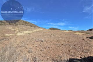Finca rústica a Diseminado tebar 93. Referencia 2446. parcela de 7 hectáreas en tébar.
