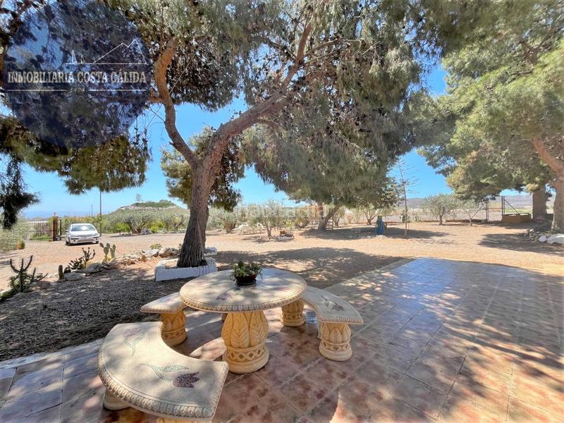 Foto abfdc839-3d89-4af7-8e90-8c9c36394adc. Masia a paraje rincon de la casa grande 11 a Calabardina Águilas