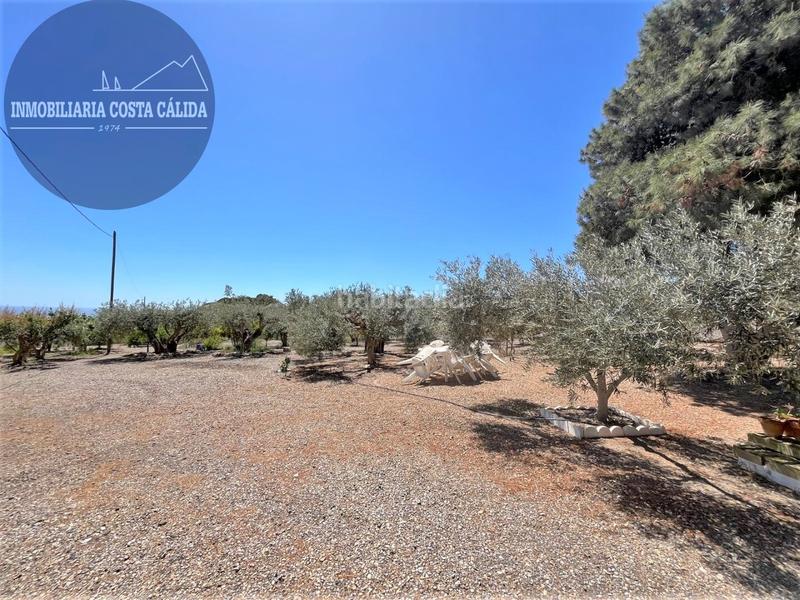 Foto b7a3a96d-8ce7-48fb-b321-2b65a29a075b. Masia a paraje rincon de la casa grande 11 a Calabardina Águilas