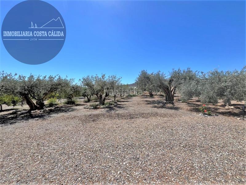 Foto ddad3d31-f907-4adb-b386-210142f90c3b. Masia a paraje rincon de la casa grande 11 a Calabardina Águilas