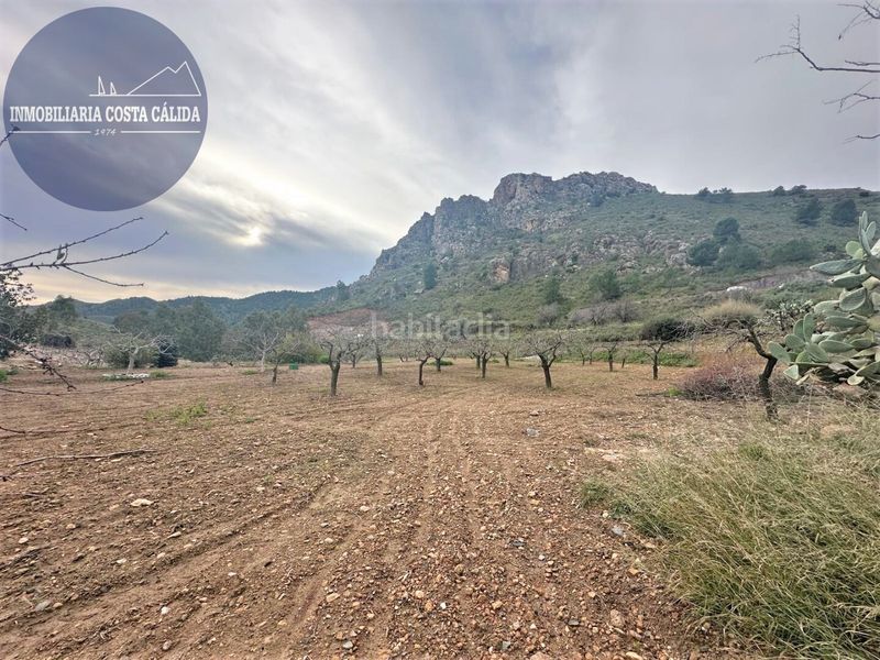 Foto 9e7bfc92-6188-4e5d-931b-2bbbc97859d0. Masia a diseminado barranco de asensios 16 a Tébar - Los Arejos Águilas