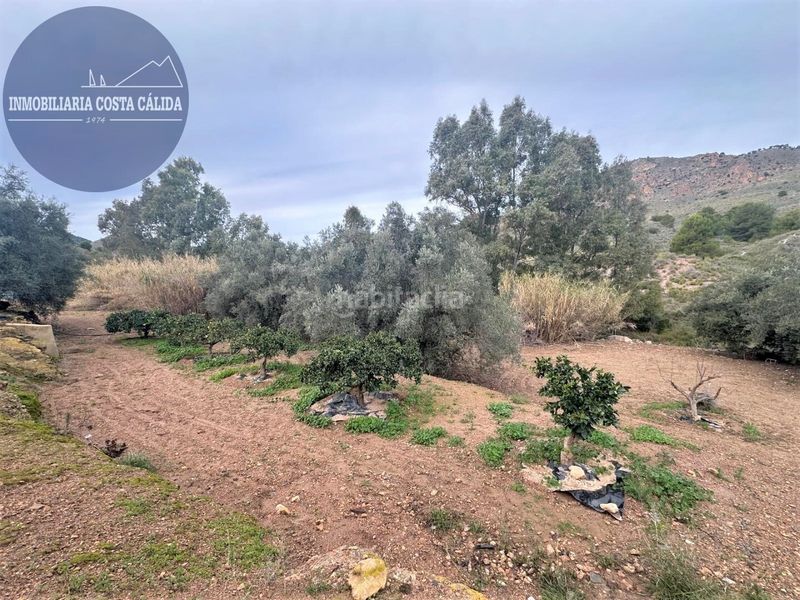 Foto 9f46eff1-1c80-4238-8173-38f1ee75dd20. Masia a diseminado barranco de asensios 16 a Tébar - Los Arejos Águilas