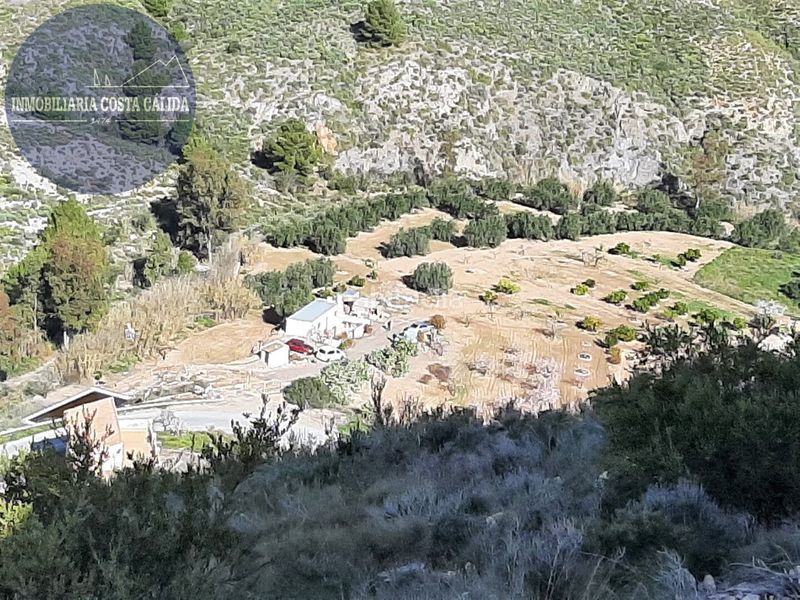 Foto b5fd1e9c-2c71-4211-ac27-c81c7065d67b. Masia a diseminado barranco de asensios 16 a Tébar - Los Arejos Águilas