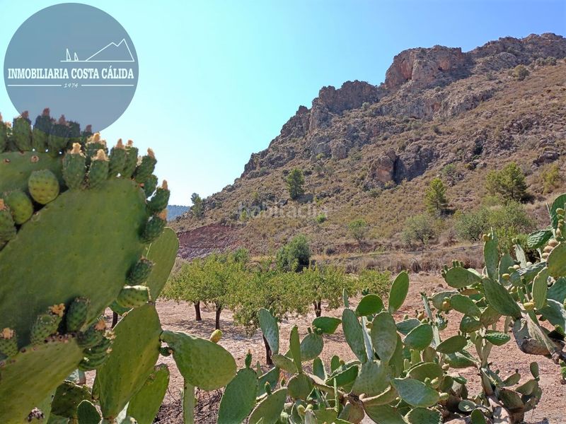 Foto cc683b66-b6f6-4bb3-860e-f4b514bb5fc8. Masia a diseminado barranco de asensios 16 a Tébar - Los Arejos Águilas