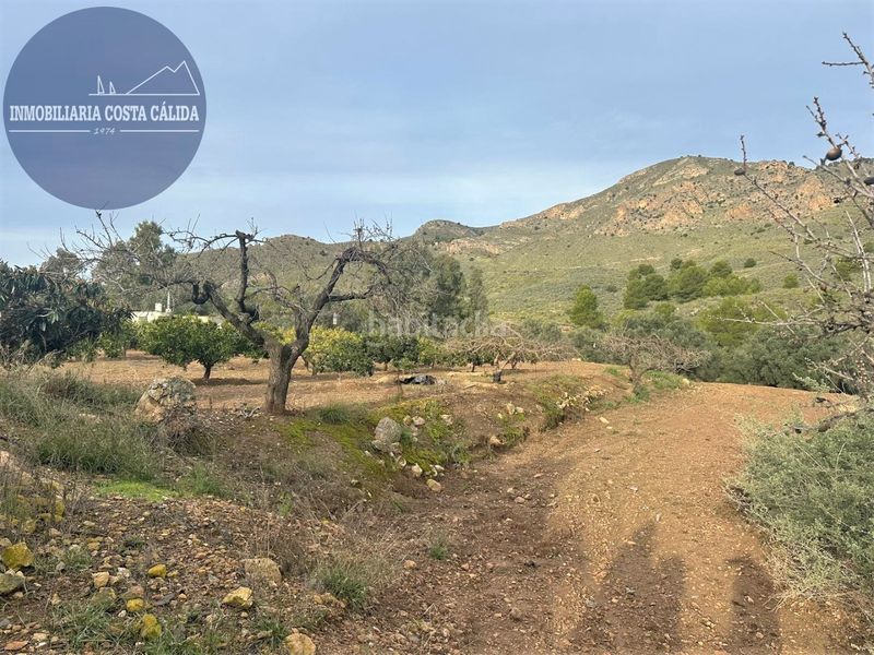 Foto cd507949-6ff7-474f-b277-52c76531cc35. Masia a diseminado barranco de asensios 16 a Tébar - Los Arejos Águilas