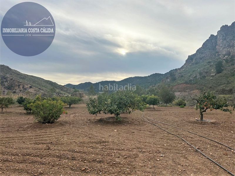 Foto ed57de86-8730-4ed8-bdaa-decfe66a0e85. Masia a diseminado barranco de asensios 16 a Tébar - Los Arejos Águilas