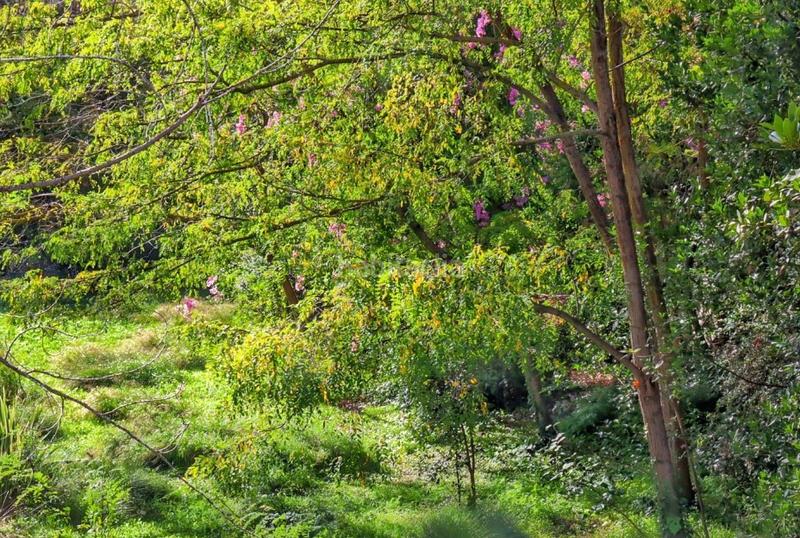 Foto 7cbaf2b3-4128-4564-bec4-8368fda3d122. Terreno residencial parcela aislada para chalet. . a 5km de vilafranca pdès. en Vilobí del Penedès