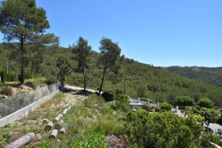 Wohngrundstück in Olivella. Terreno en can surià, olivella