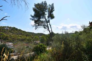 Wohngrundstück in Olivella. Terreno en mas mestre, olivella
