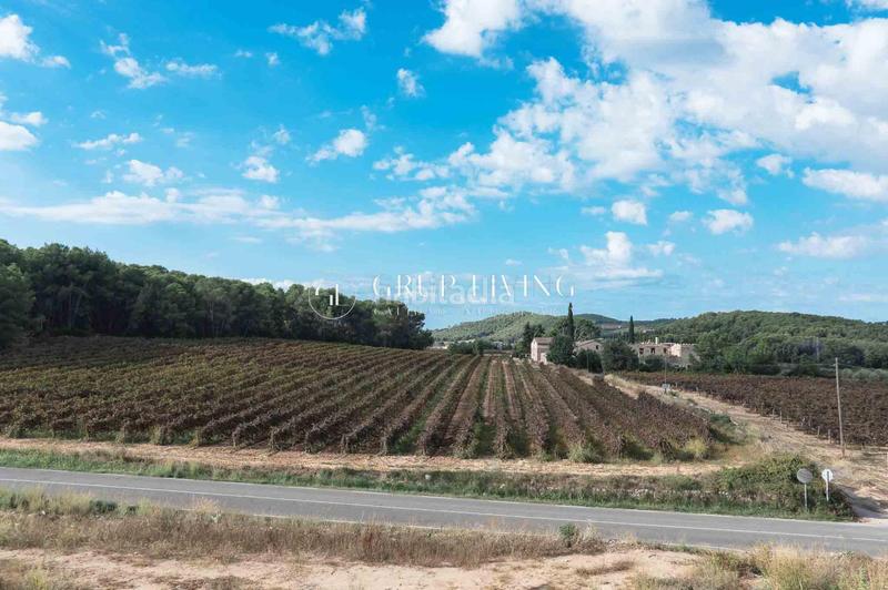 Foto 5bb4a246-9799-415e-b2b1-aa3f6b74cdd0. Alquiler piso acogedor piso en vallpineda en Vallpineda - Rocamar Sant Pere de Ribes