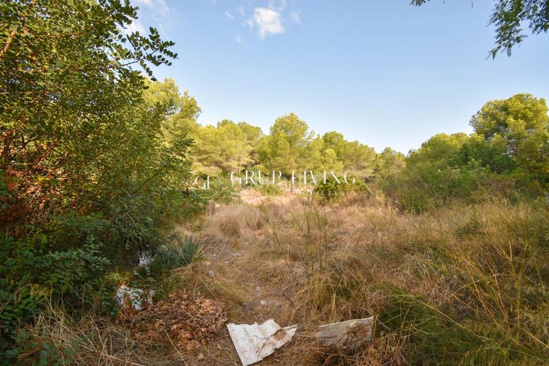 Foto dbac411d-a1a1-4cf8-8c7d-a375a2a94614. Residential plot in Can Pei Sitges