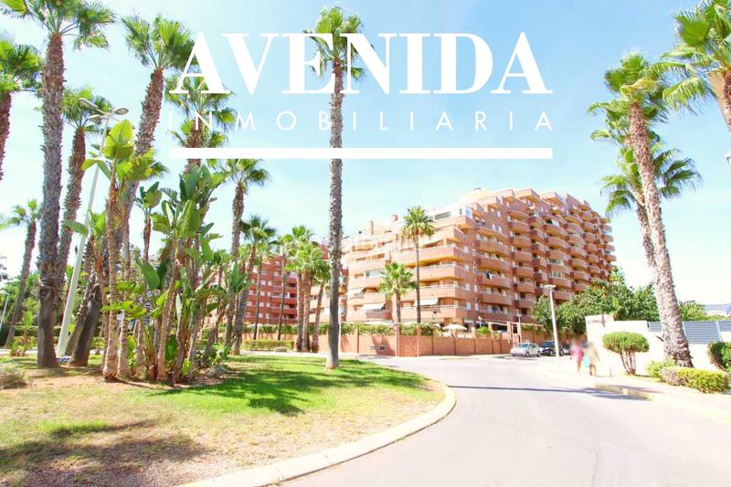 Foto ce222f9a-6152-4a95-b84a-9e81ffd73bfd. Apartament a amplaries 15 a Acapulco Oropesa del Mar
