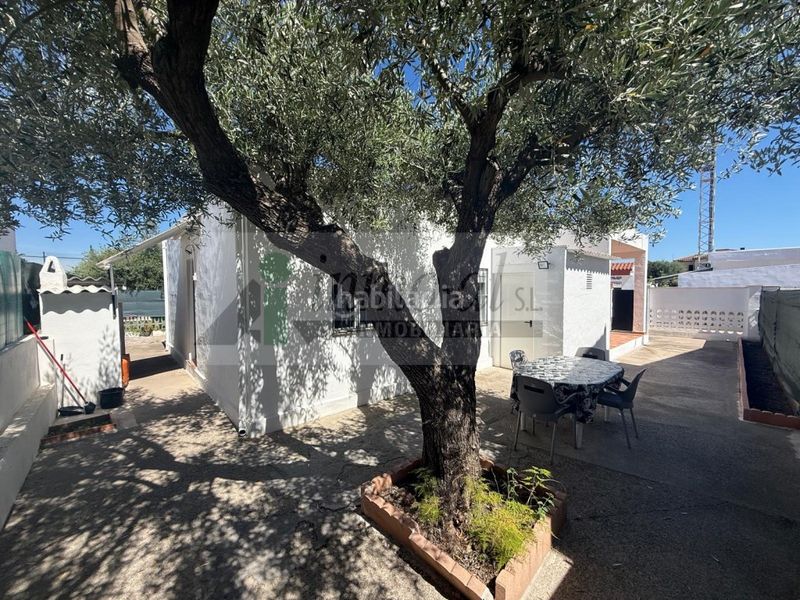 Foto f1dffad4-cdbc-4a5f-a545-8b48cb6fdb3e. Casa a Playa-Ben Afeli Almazora / Almassora