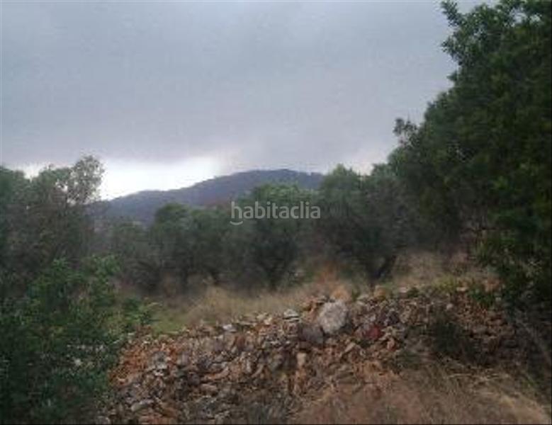 Foto 25c825a3-7ee1-48cd-b652-3482b774f937. Terreno residencial solar urbano en el vendrell en Vendrell (El)