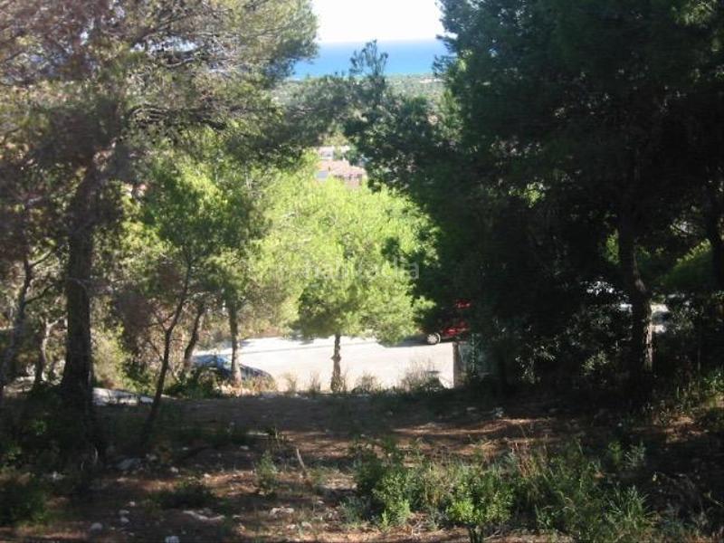 Foto 3db7ee4b-d30b-4323-892f-b3d769268cc7. Wohngrundstück in carrer de pau casals 29 in Roda de Barà