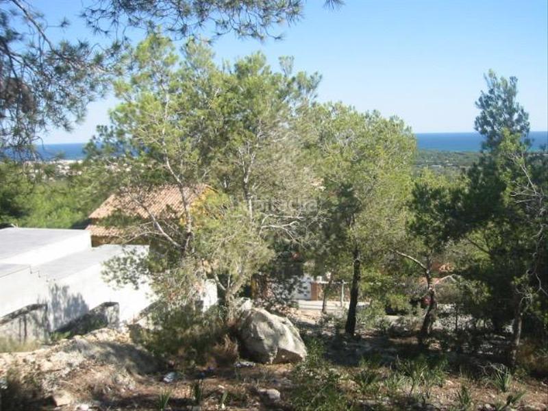 Foto 4c73219c-c65d-471b-851f-109e3372ae3f. Wohngrundstück in carrer de pau casals 29 in Roda de Barà