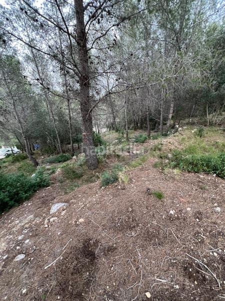 Foto 29abd0d0-890a-4227-b5d4-724ab9992dc0. Terreno residenziale in avenida de can gordei 113 in Bisbal del Penedès (La)