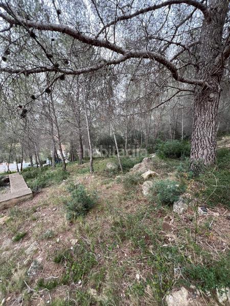 Foto e1c1d78e-a0bb-42be-87b4-3a230cd364fa. Terreno residenziale in avenida de can gordei 113 in Bisbal del Penedès (La)