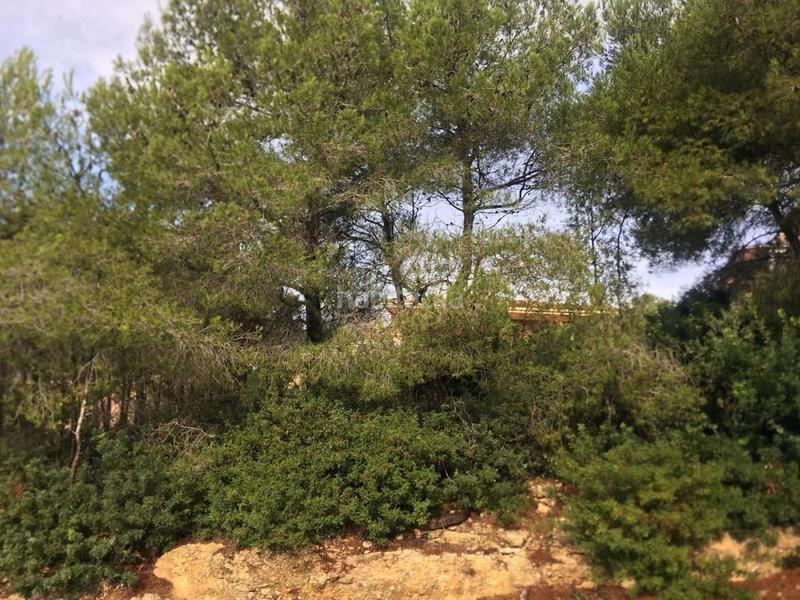 Foto 5087c497-728c-489f-8421-c104db22ae8e. Terreno residenziale in costa Cunit - els jardins - els rosers Cunit