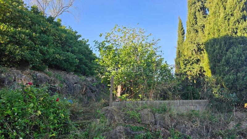 Foto 3379f952-b37a-4298-8d03-70d547f9f4b5. Casa amb aparcament a Bisbal del Penedès (La)