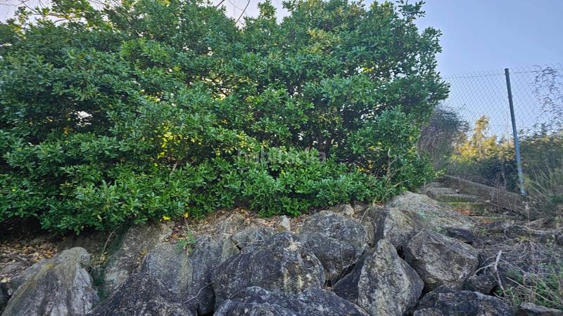 Foto 6ea8b7ff-1277-453b-b3f0-3604e526053d. Casa amb aparcament a Bisbal del Penedès (La)